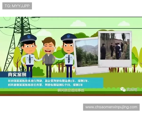 新葡京太阳城事件引发的法律责任追究与相关部门的应对措施分析